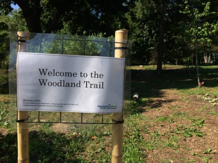 Shinrin Yoku Trail Randall's Island NYC