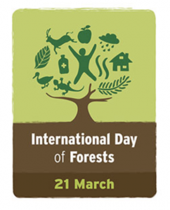 International Forest Day