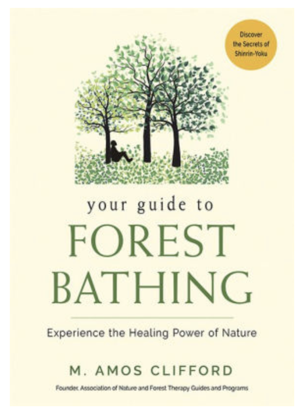 Top 10 Forest Bathing Books Recommended by Certified Guides