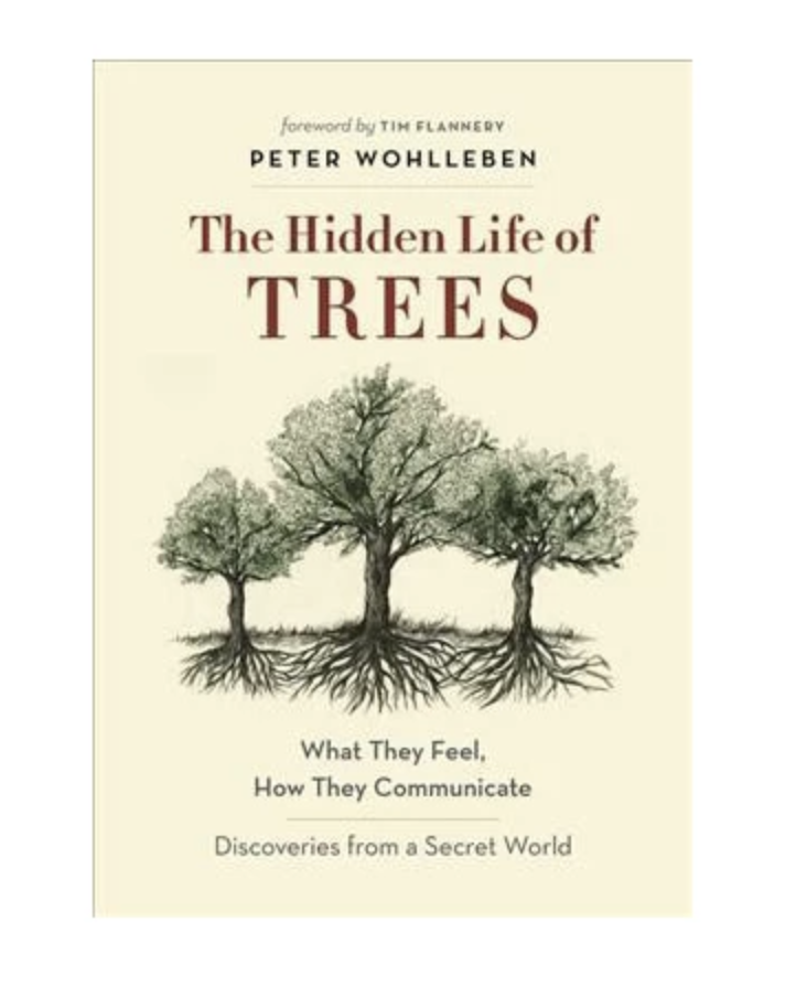 (Hardcover)　Connection　Communicate―Discoveries　Life　How　Feel,　from　Nature　What　of　World　Trees:　Guide　a　They　They　Hidden　The　Secret