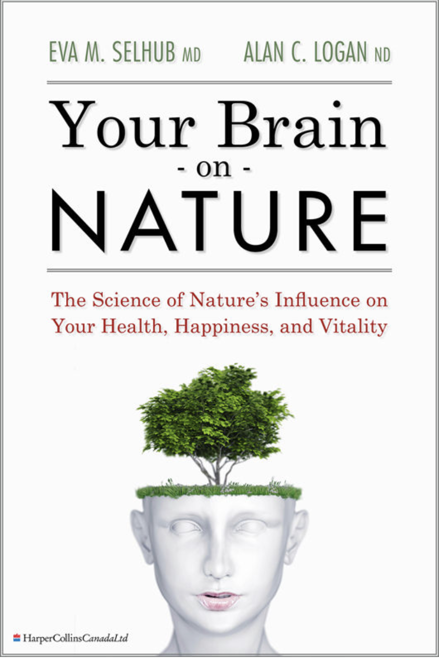 Your Brain On Nature: The Science of Nature's Influence on Your