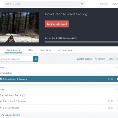An Intro To Forest Bathing Online Course - Nature Connection Guide