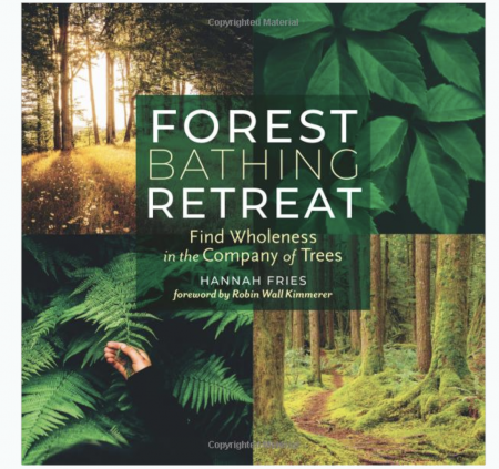 Forest Bathing Retreat - Nature Connection Guide