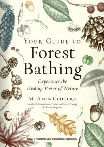 Your Guide to Forest Bathing (Expanded Edition): Experience the Healing ...