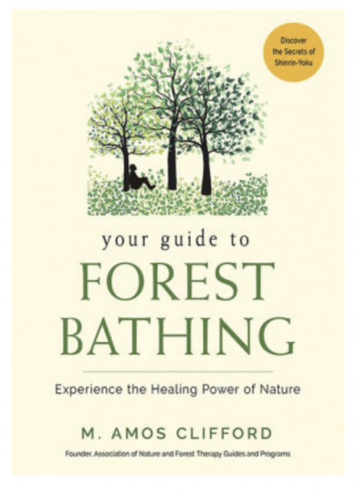Your Guide to Forest Bathing: Experience the Healing Power of Nature ...