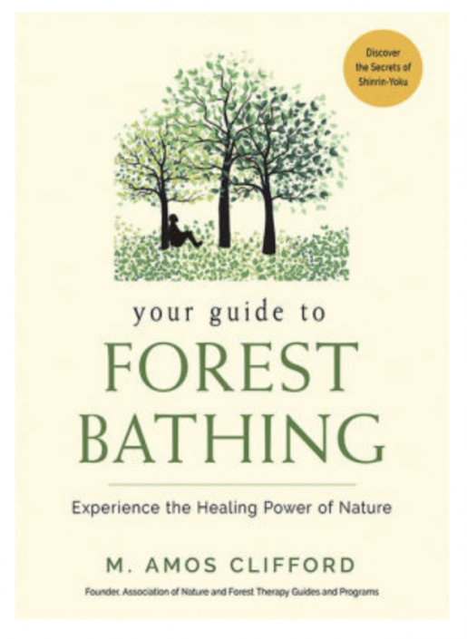 Your Guide To Forest Bathing: Experience The Healing Power Of Nature ...