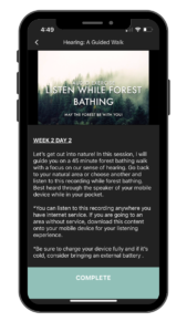 guided audio forest bathing recordings on the forest bathing life app