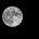 9/26/26 Full Moon Forest Bathing